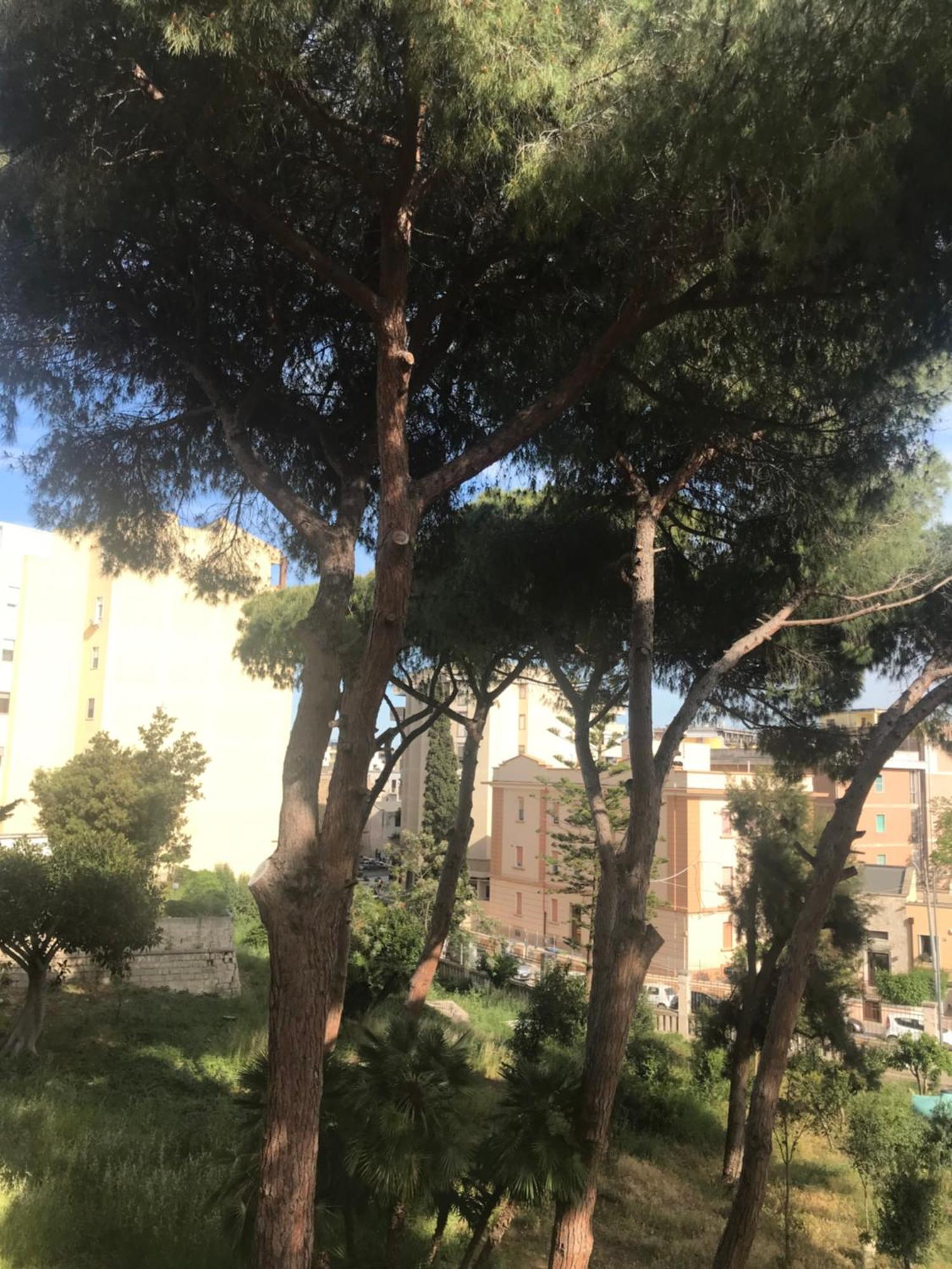 Villa San Giuseppe Бриндизи Экстерьер фото